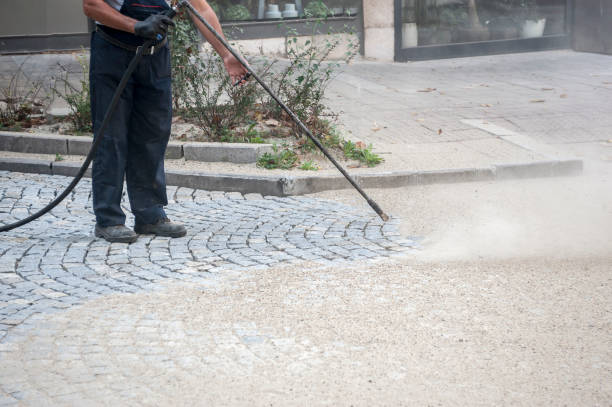 Best Gutter Cleaning  in Salamatof, AK